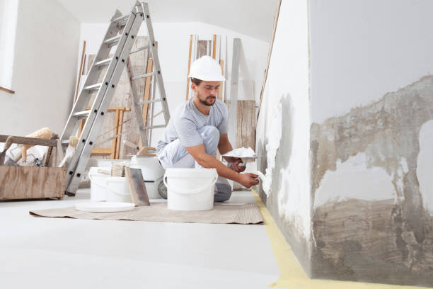 Best Eco-Friendly and Low-VOC Painting  in Carlyle, IL