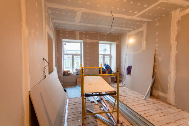 Best Drywall Removal and Disposal  in Carlyle, IL